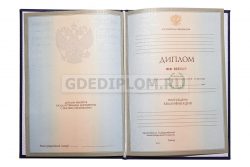 ВПО 2004-2009