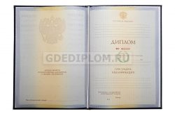 впо 2010-2011